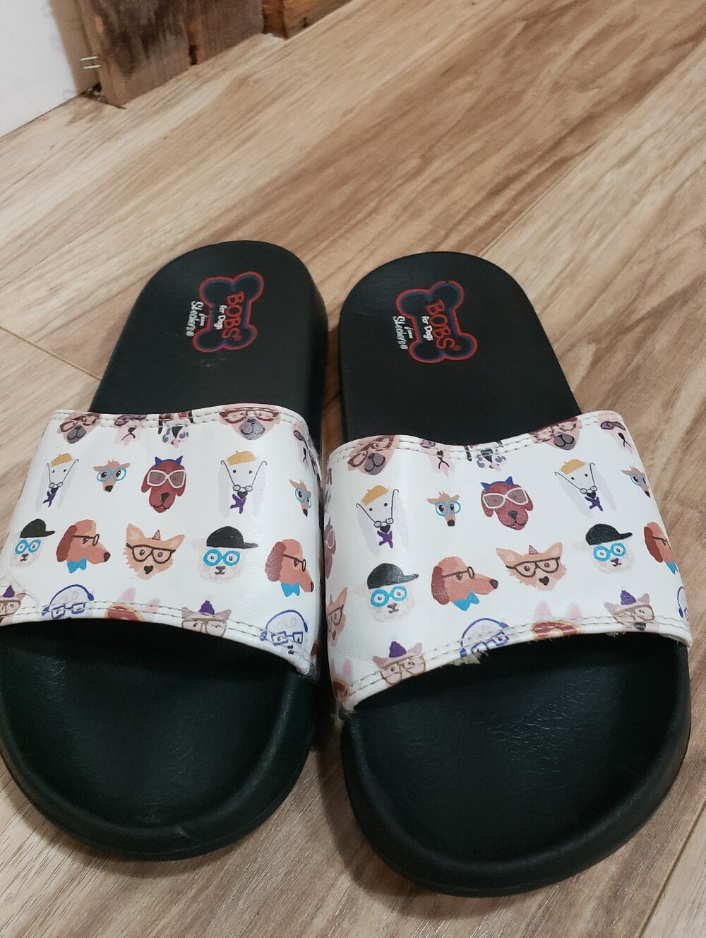 Bobs Sandal Slides Dog Lover Print All Over Size 8 - Picture 2 of 3